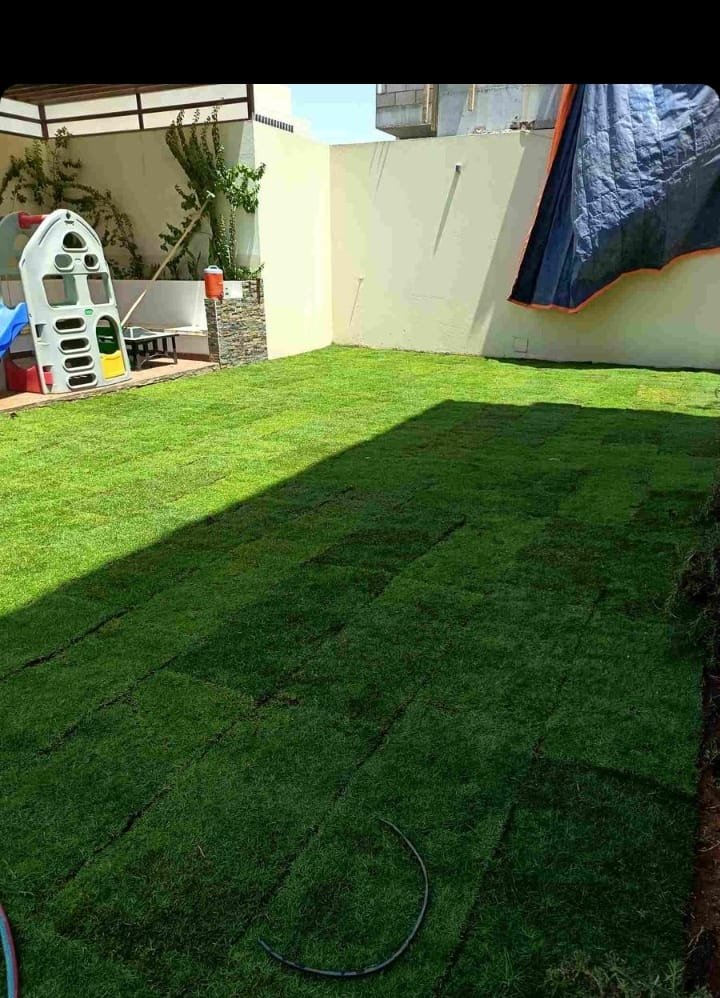 عمل تنسيق حدائق